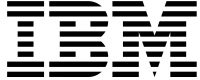 IBM logo